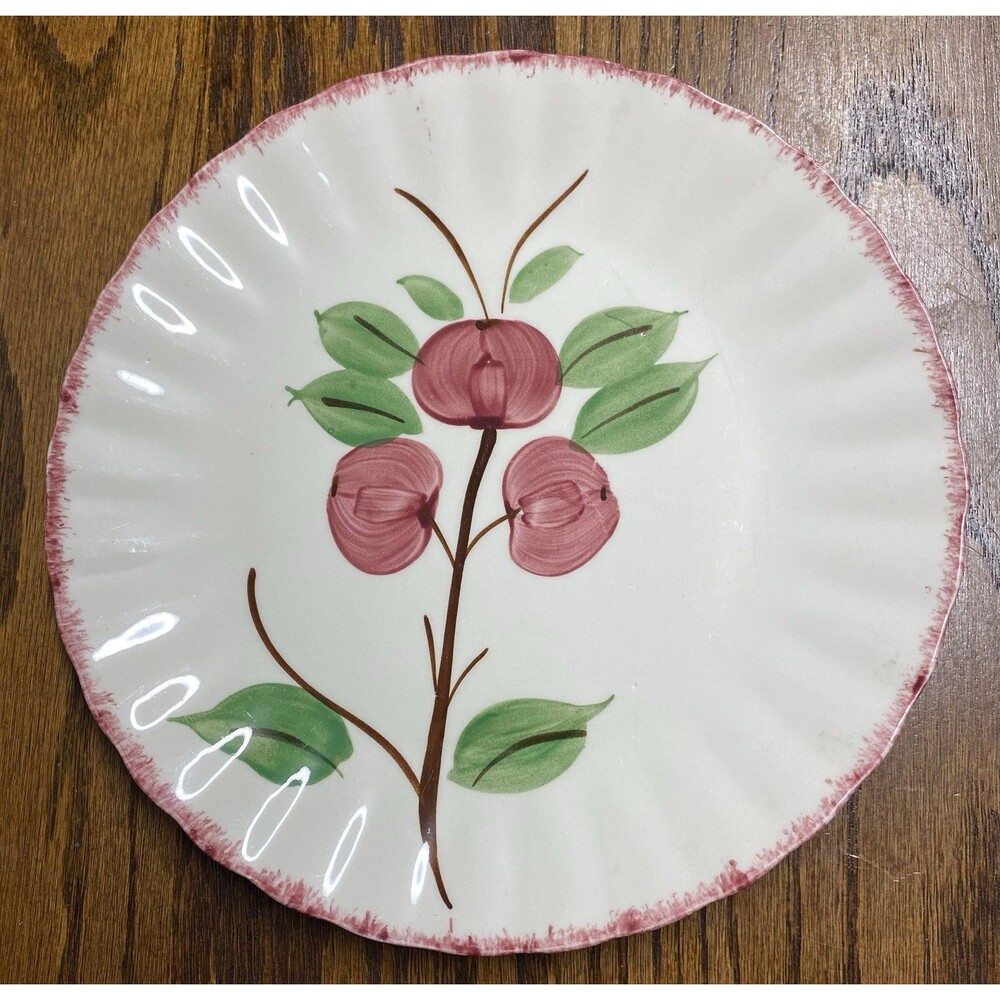Vintage BLUE RIDGE SOUTHERN POTTERIES Crab Apple Hand Painted 9.25” Plate